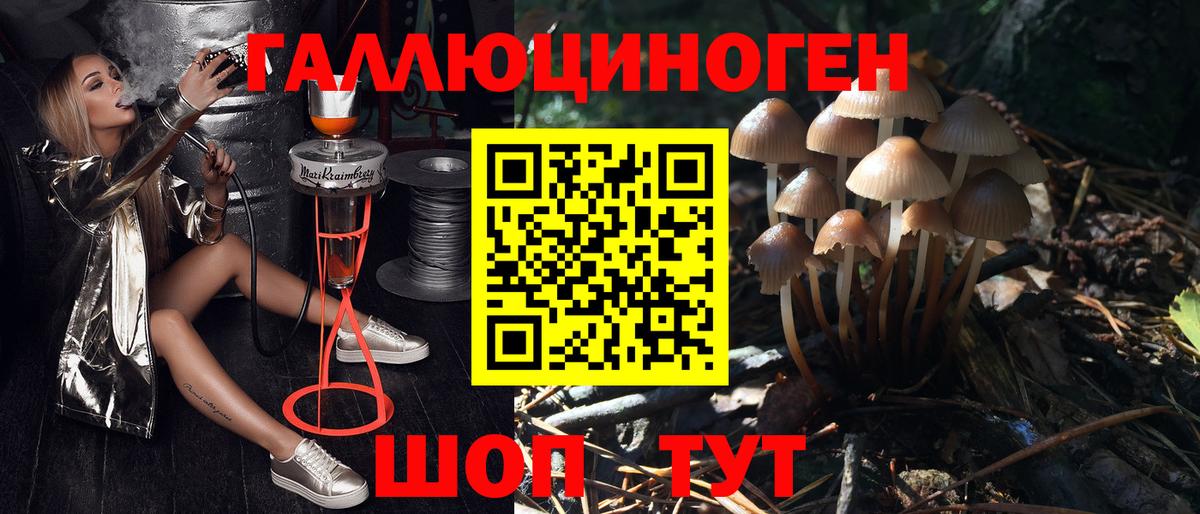 Псилоцибиновые грибы MAGIC MUSHROOMS Котлас